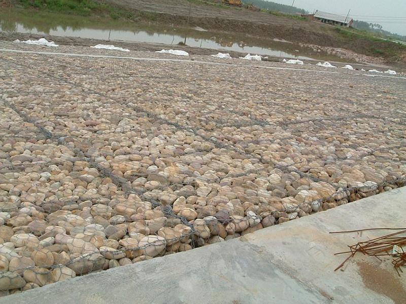 重慶格賓雷諾護(hù)墊